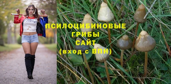 герыч Осинники