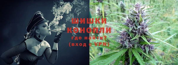 гидропоника Алзамай