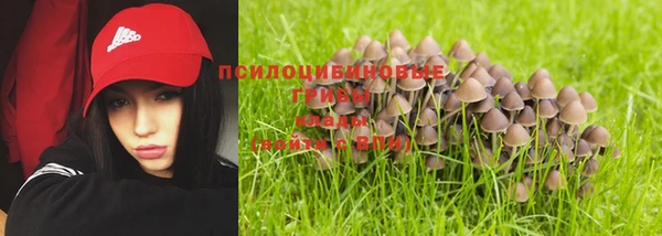 ешки Абаза